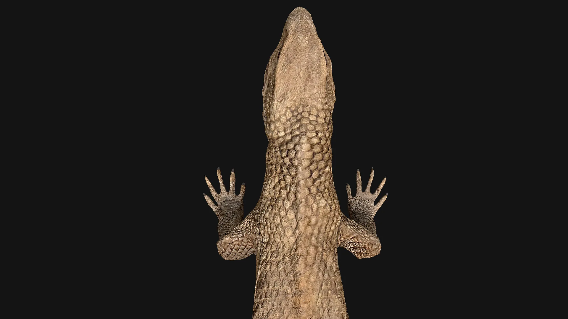 Reptile Crocodile Varan Iguana