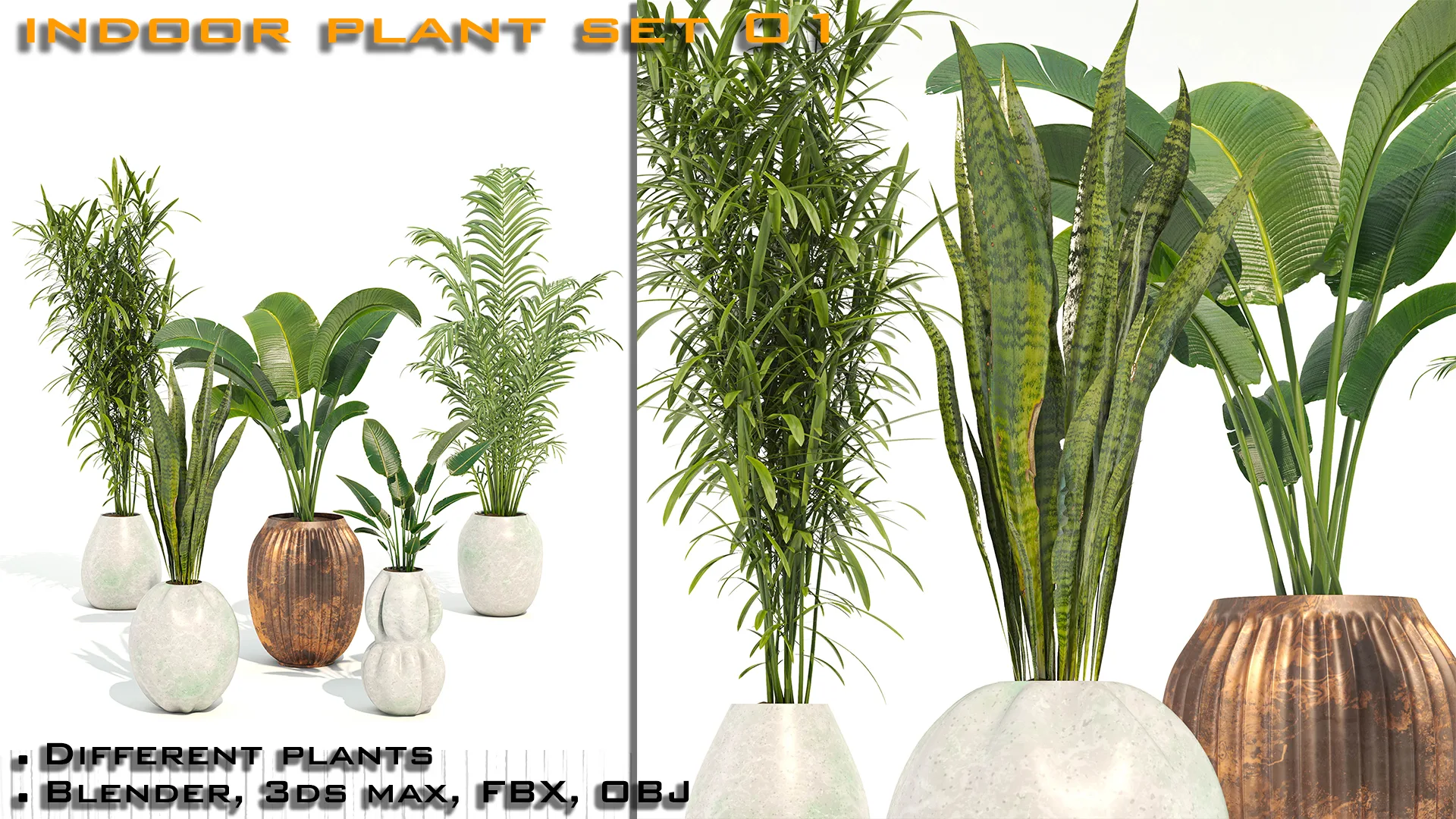 Indoor Plant Set 01