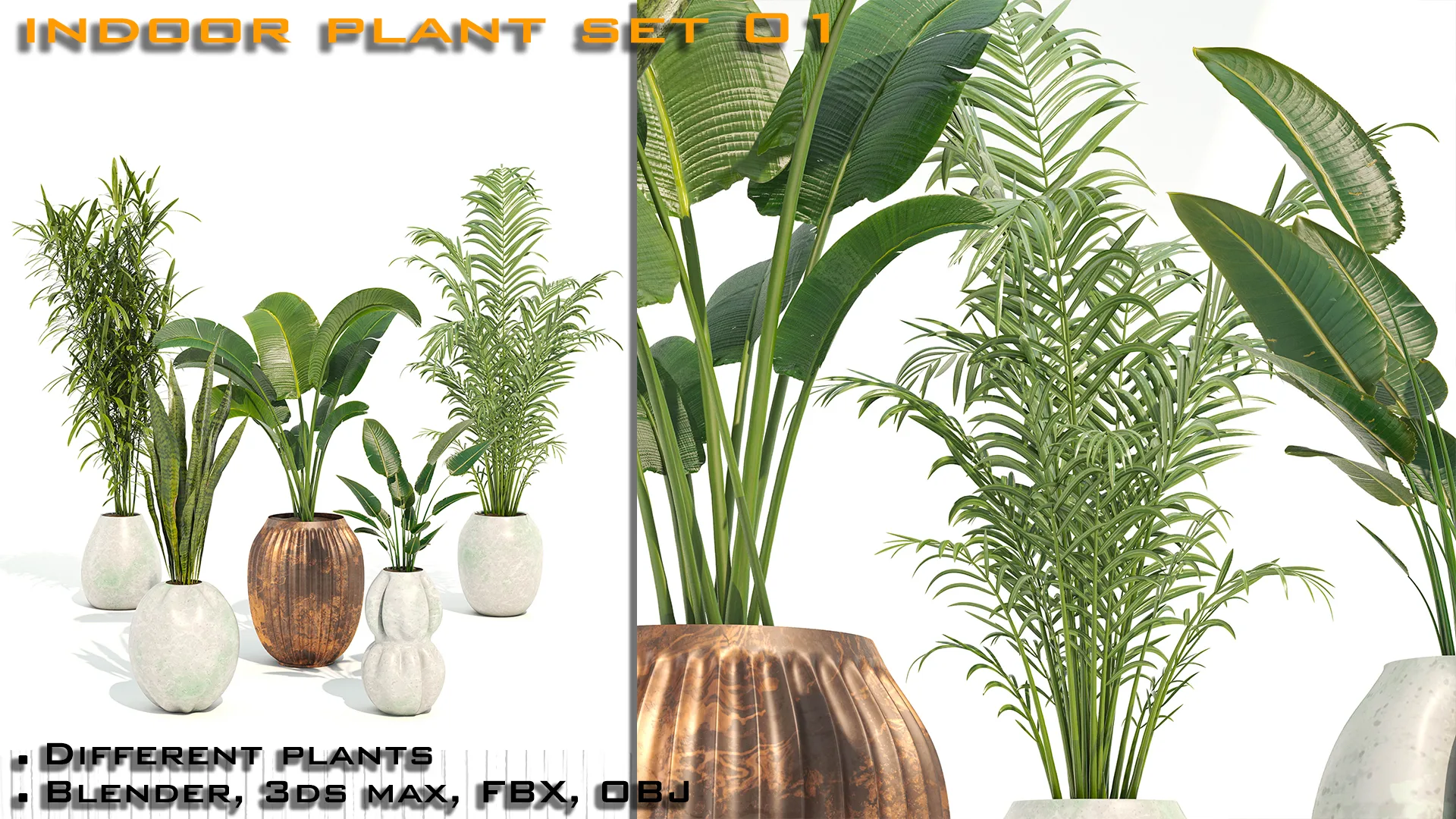 Indoor Plant Set 01