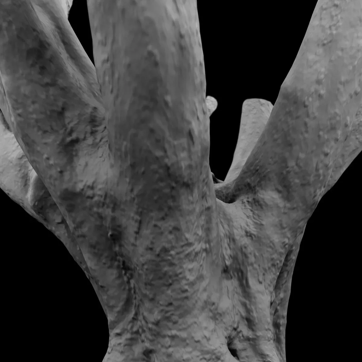 Tree 1