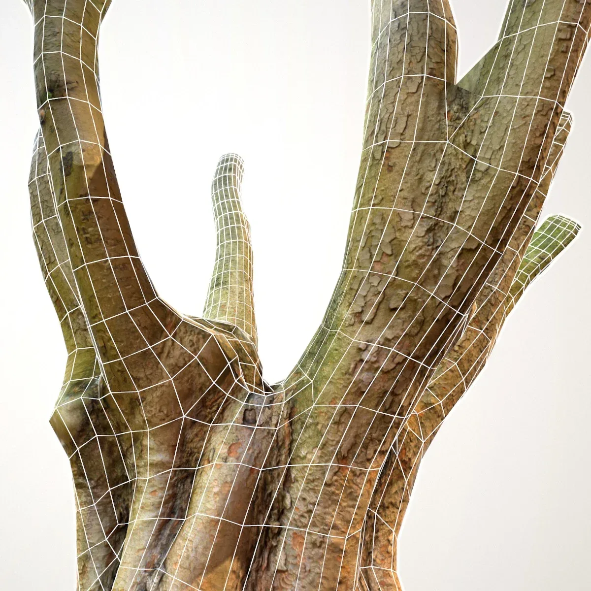 Tree 1