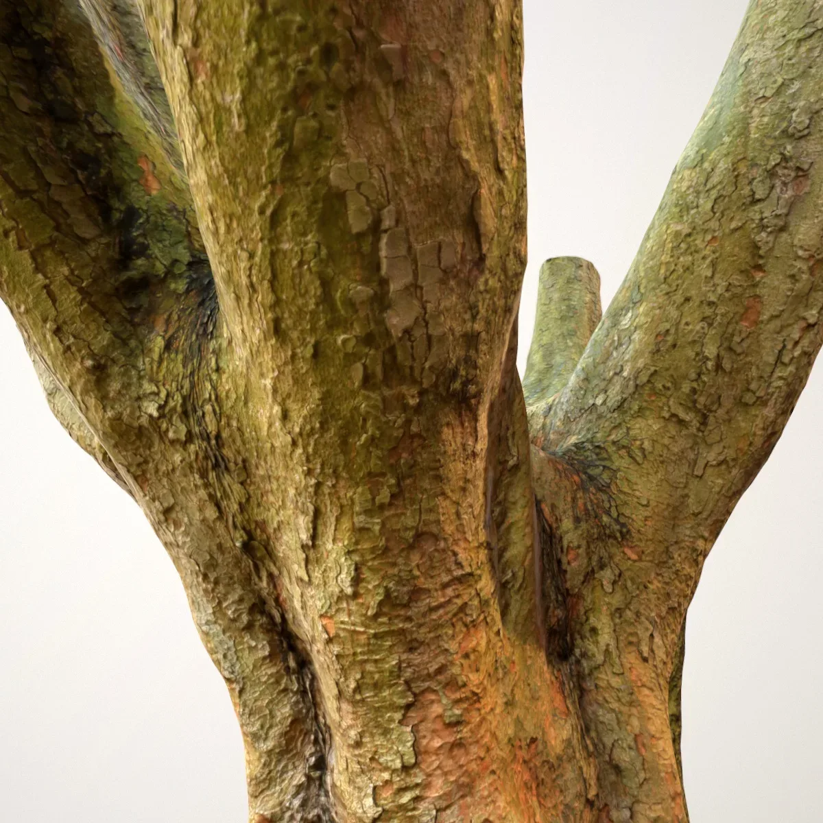 Tree 1