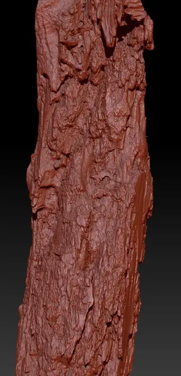 Tree Bark 7