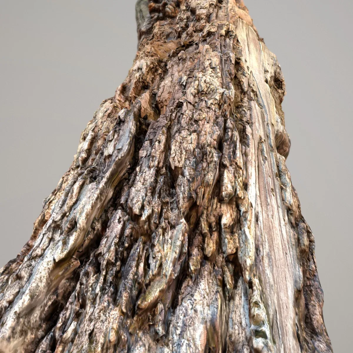 Tree Bark 7