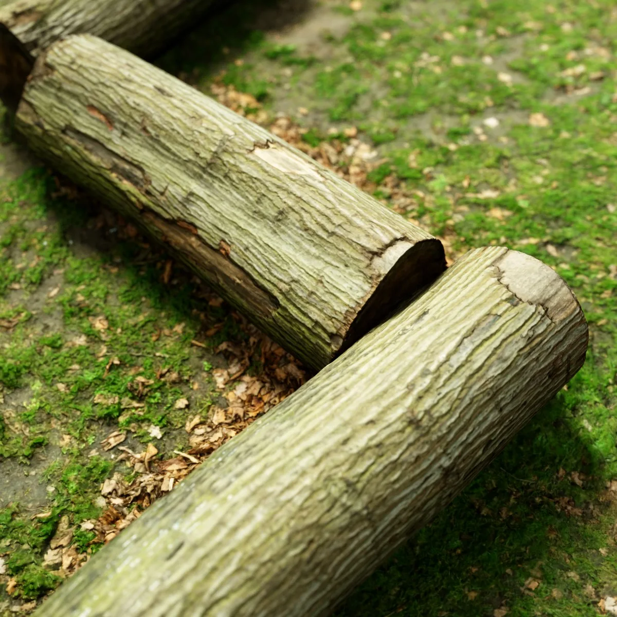 16 Fotorealistic 3D Scanned Treetrunks and Roots