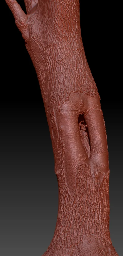 16 Fotorealistic 3D Scanned Treetrunks and Roots