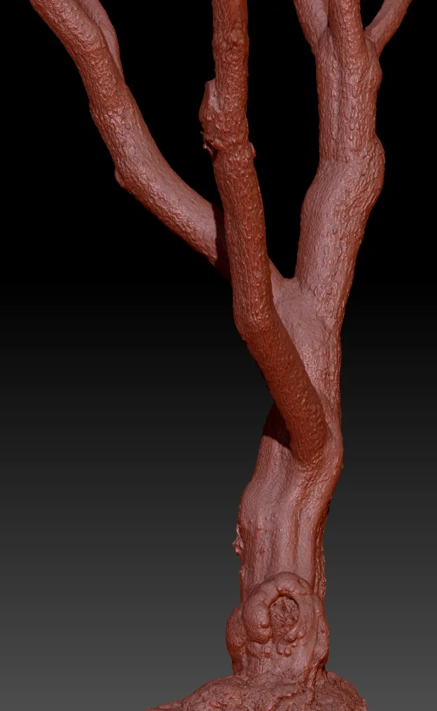 16 Fotorealistic 3D Scanned Treetrunks and Roots