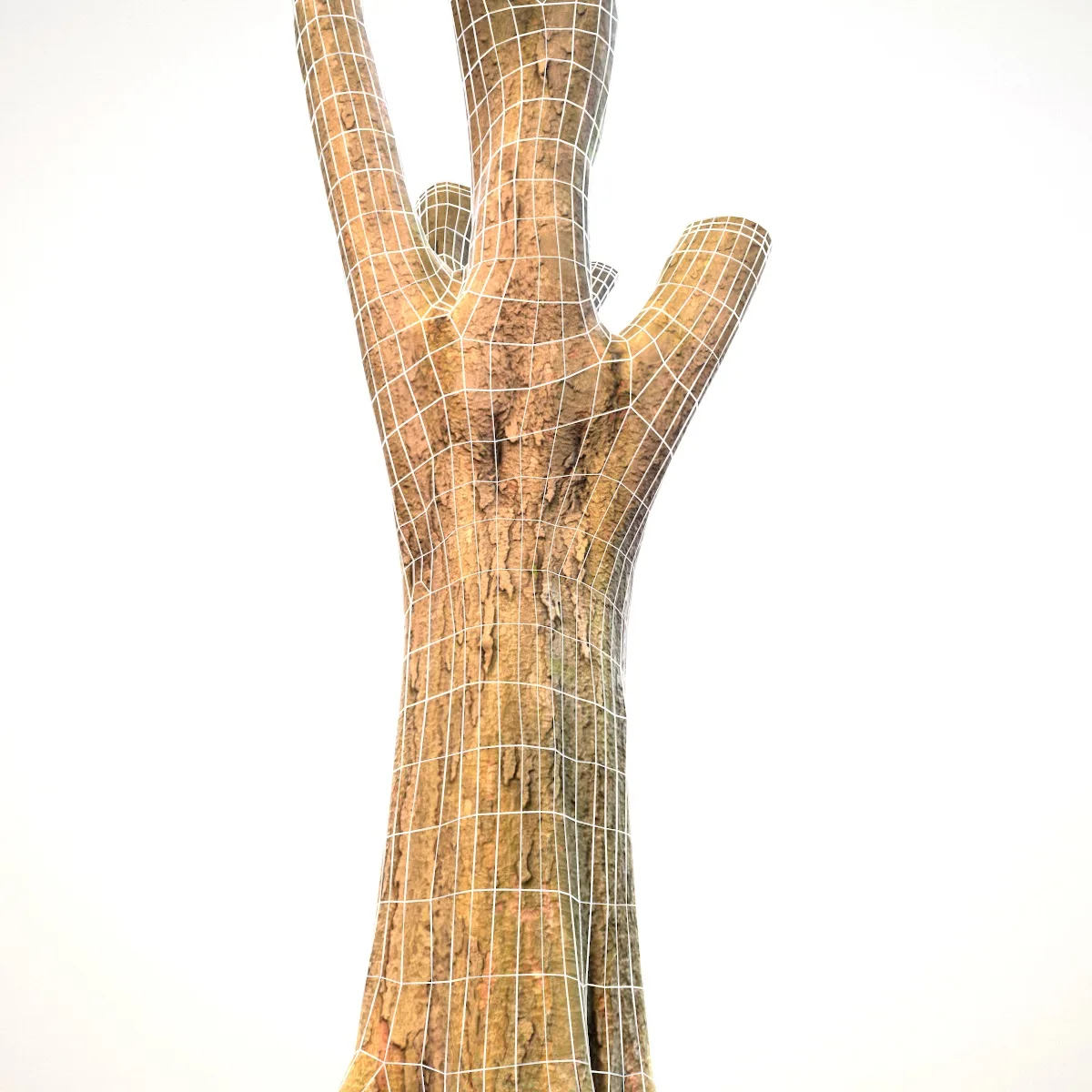 16 Fotorealistic 3D Scanned Treetrunks and Roots