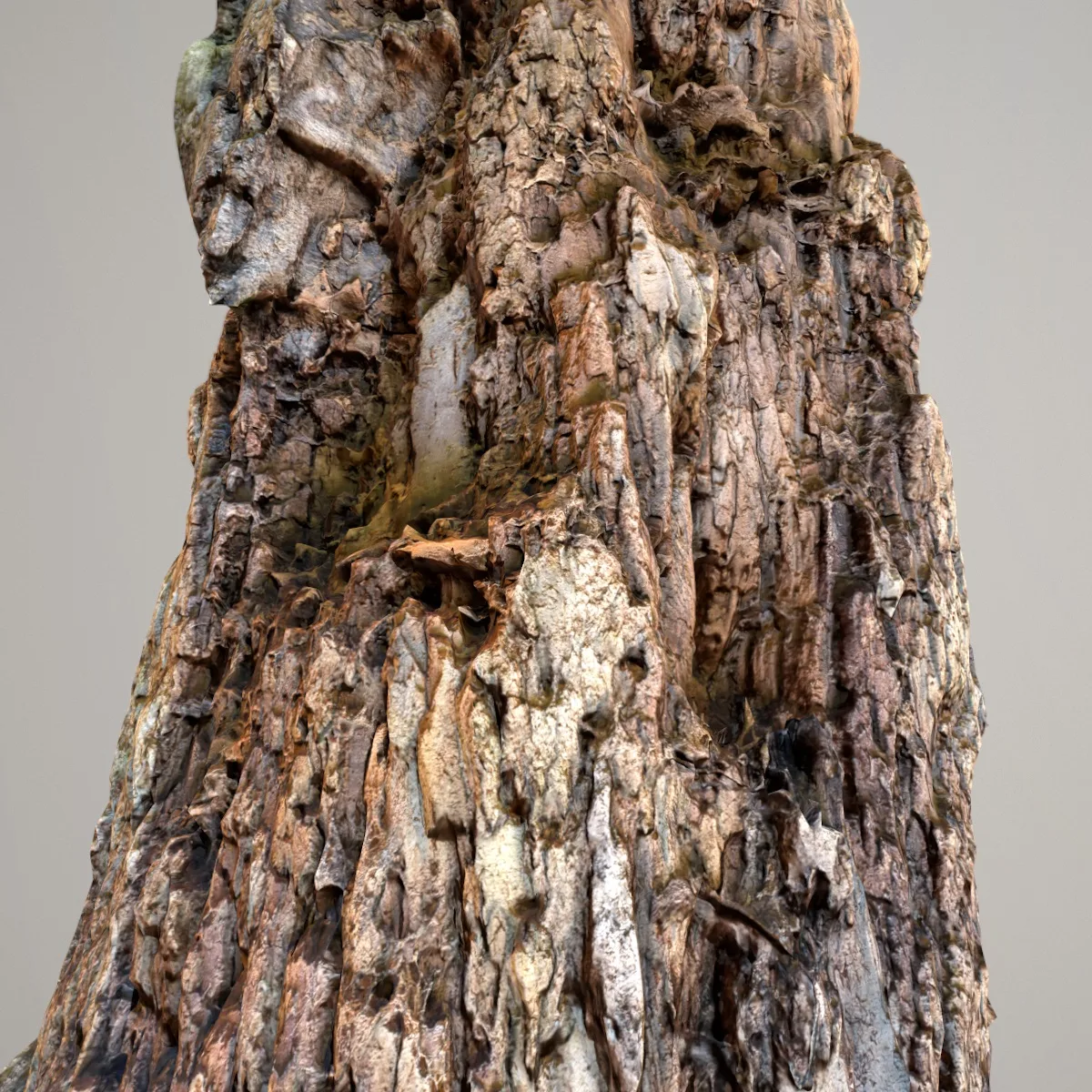 16 Fotorealistic 3D Scanned Treetrunks and Roots