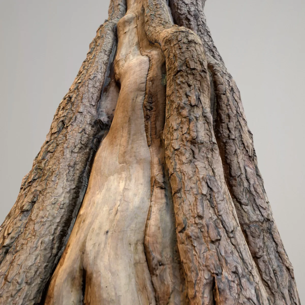 16 Fotorealistic 3D Scanned Treetrunks and Roots