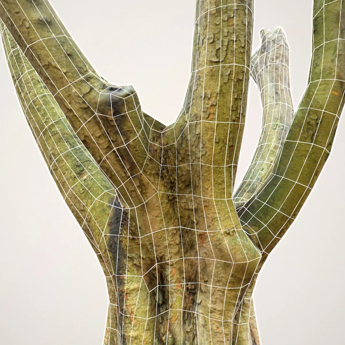 16 Fotorealistic 3D Scanned Treetrunks and Roots