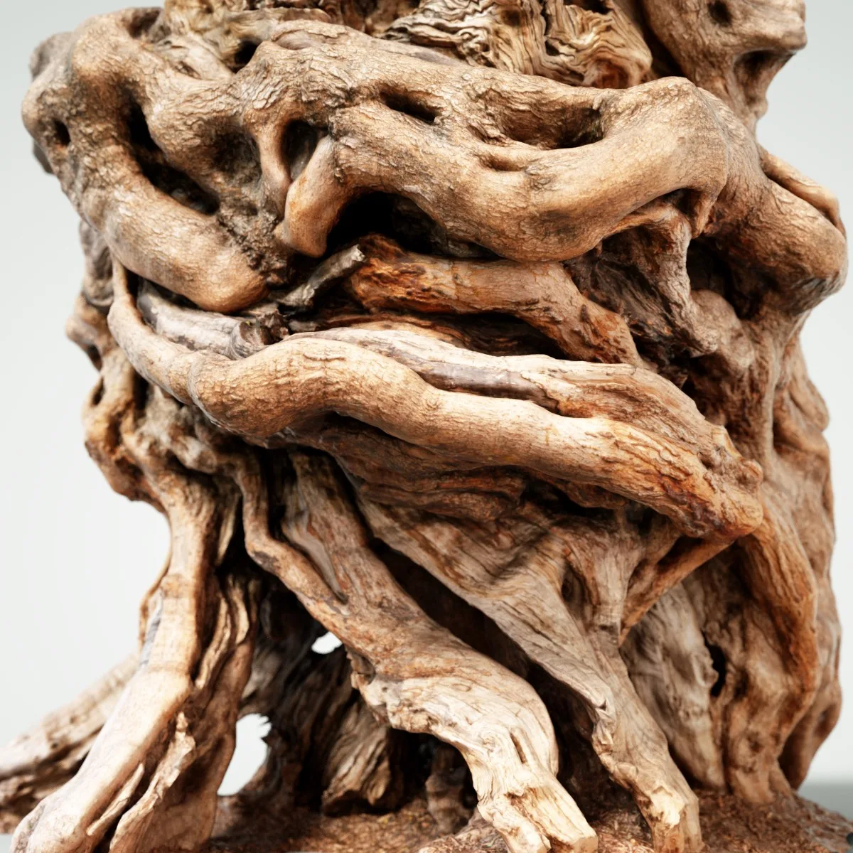 16 Fotorealistic 3D Scanned Treetrunks and Roots