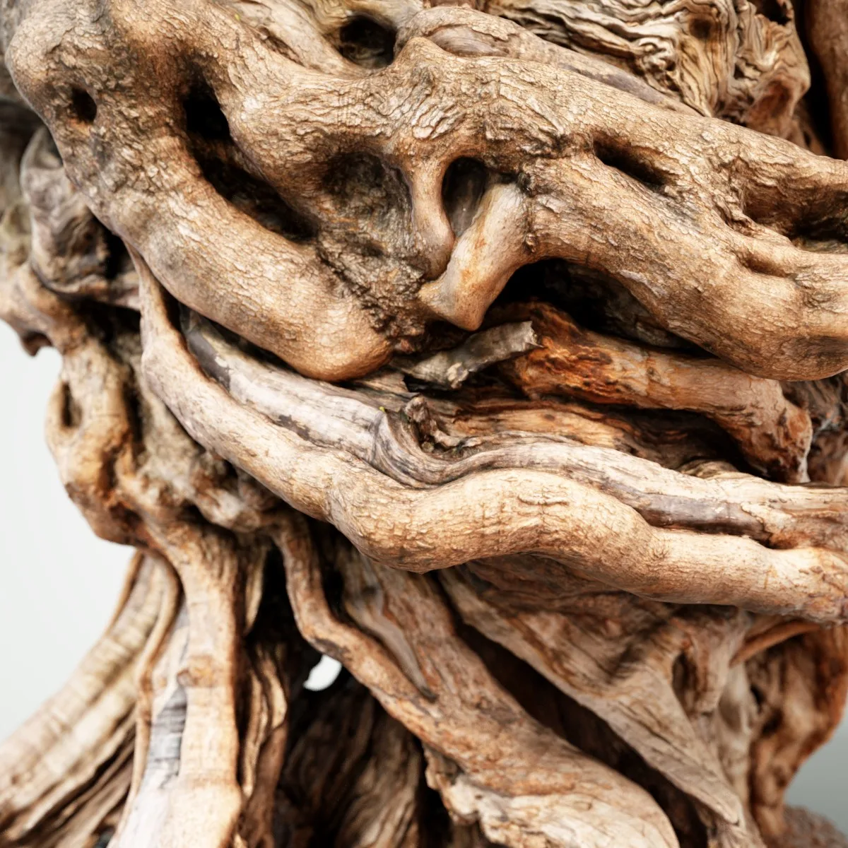 16 Fotorealistic 3D Scanned Treetrunks and Roots