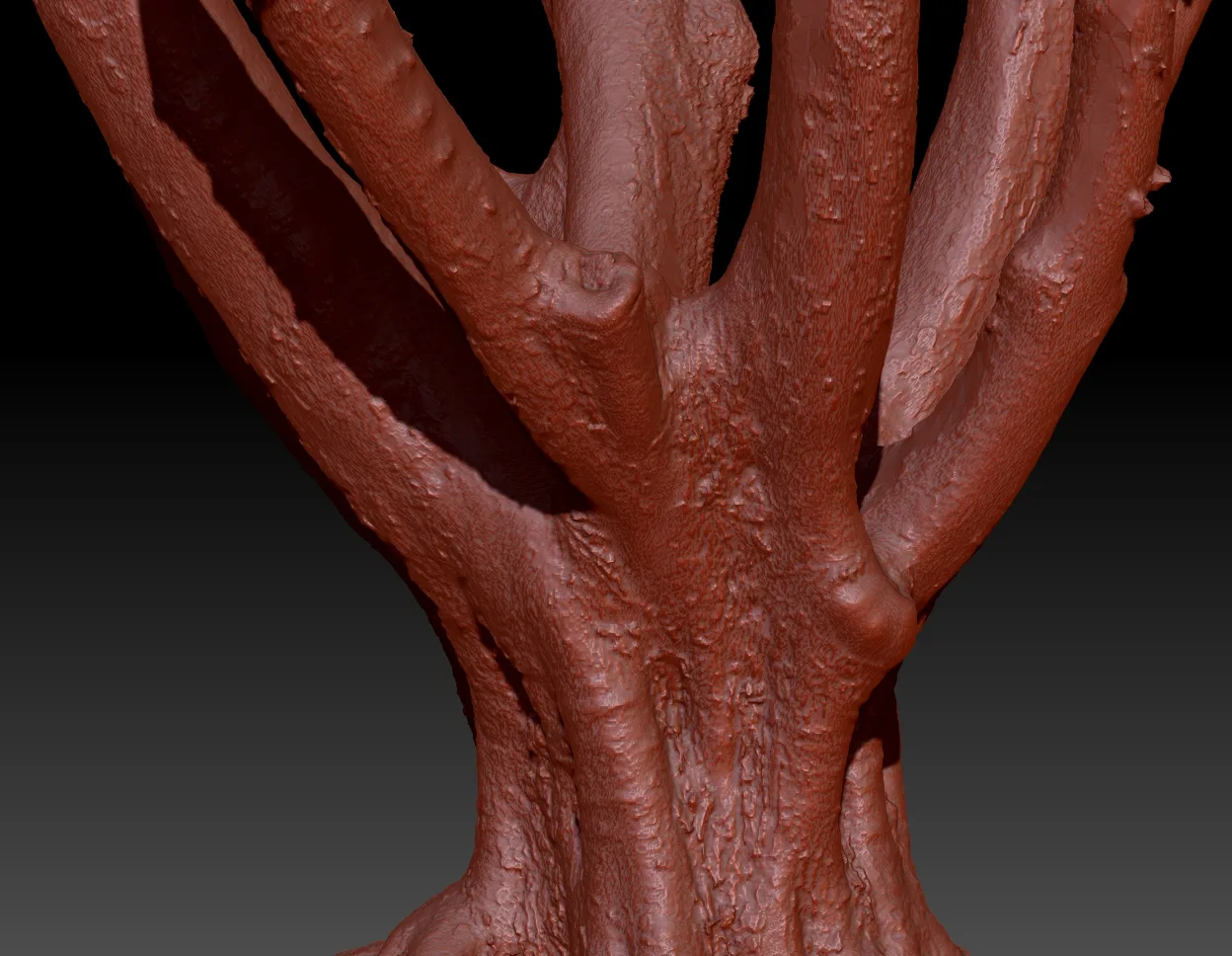 16 Fotorealistic 3D Scanned Treetrunks and Roots