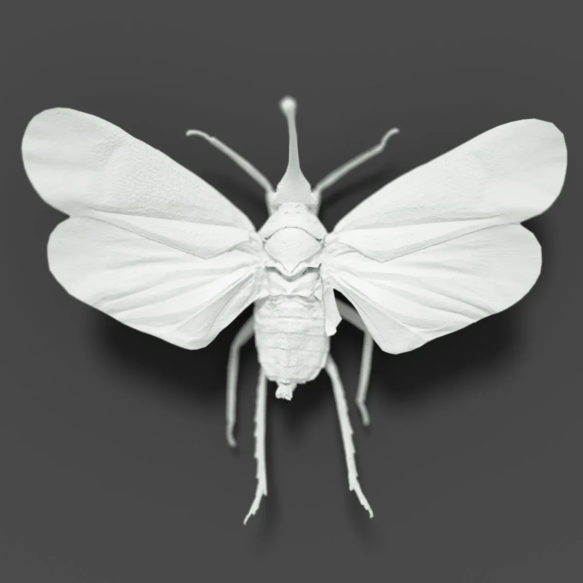 15 3D Scanned Cicadas Insect Collection