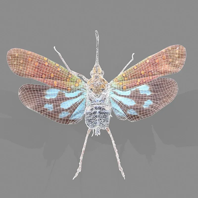 15 3D Scanned Cicadas Insect Collection