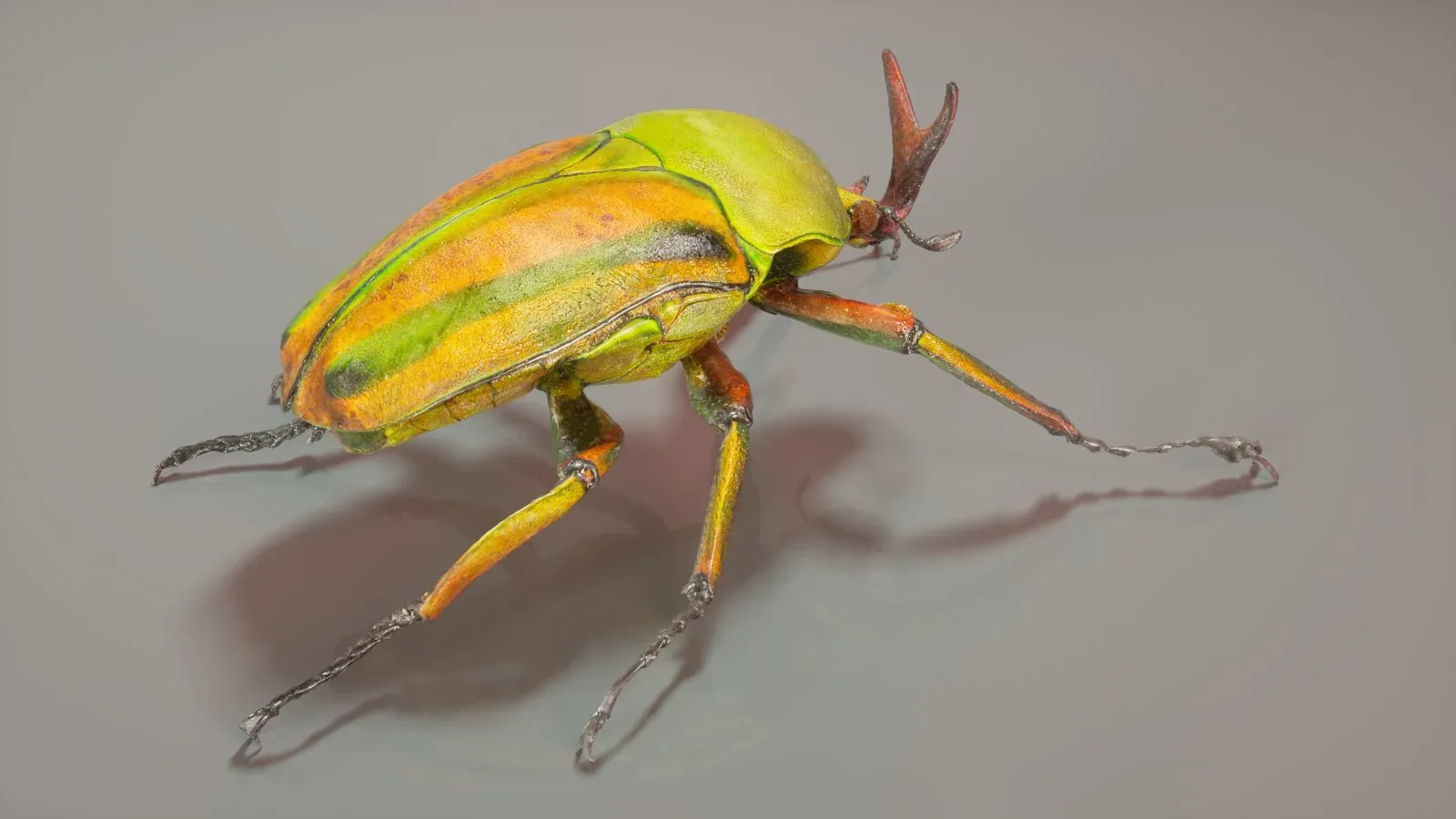 9 Incredible insects Master Collection - FlippedNormals