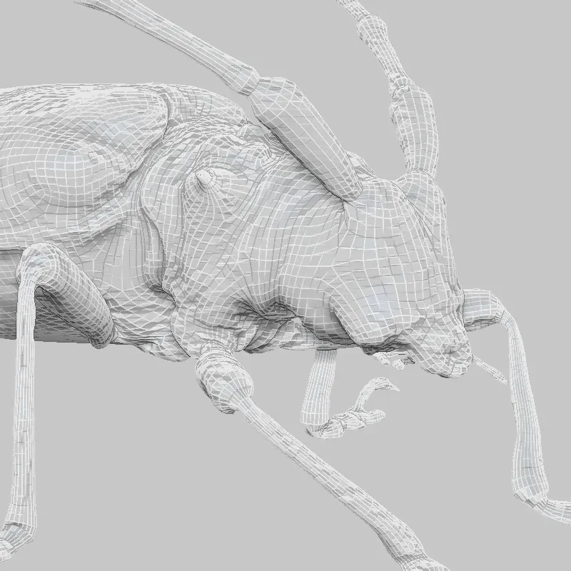 9 Incredible insects Master Collection - FlippedNormals