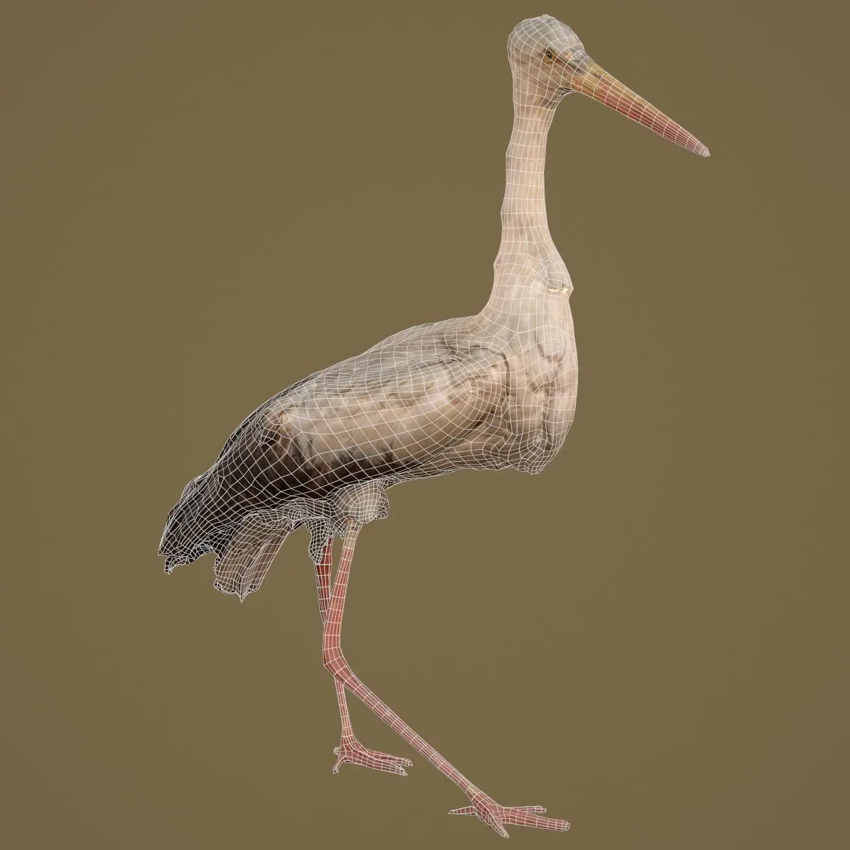 9 Realistic 3D Scanned Birds for Virtual Museums, VR, and Art Projects Collection Volume 2