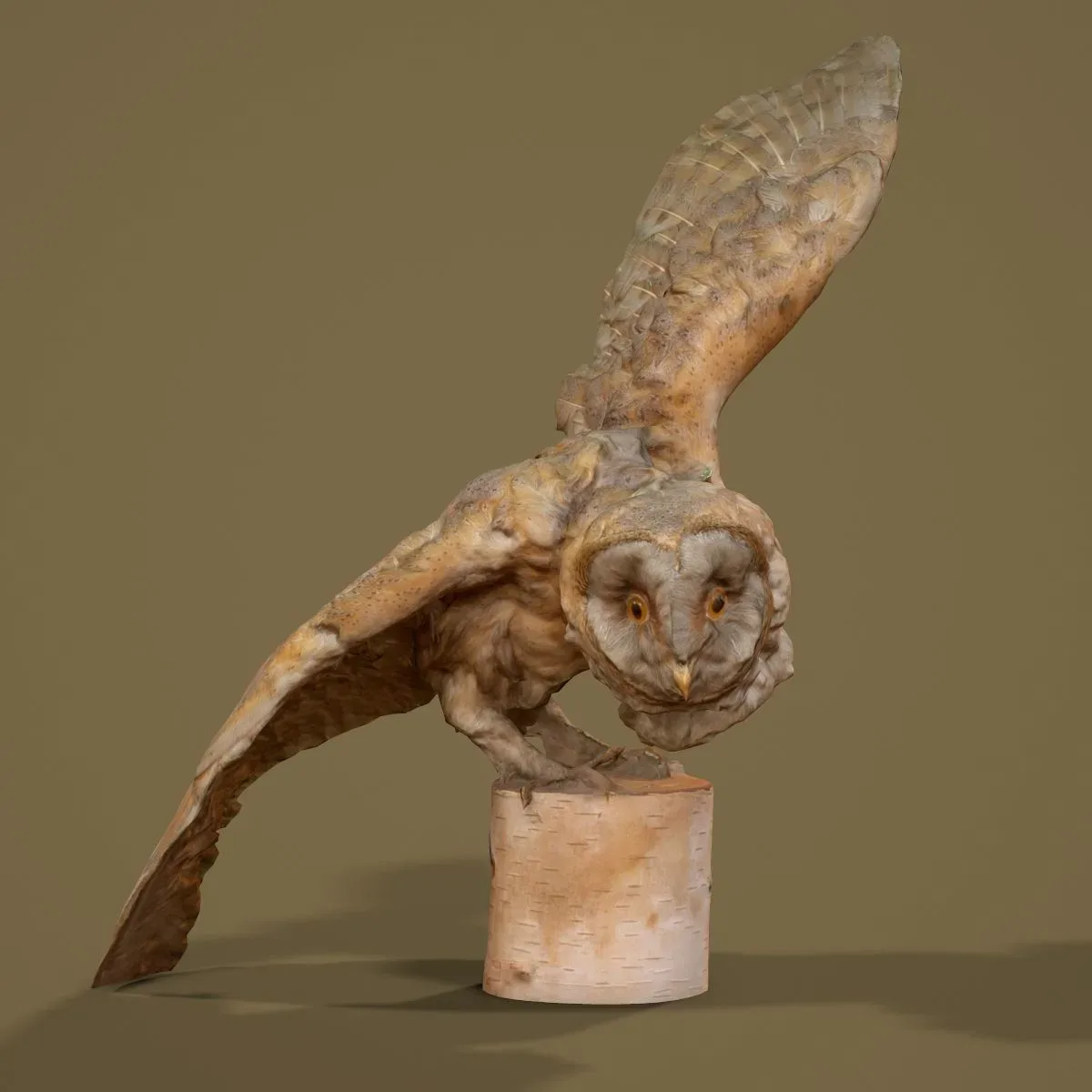 9 Realistic 3D Scanned Birds for Virtual Museums, VR, and Art Projects Collection Volume 2