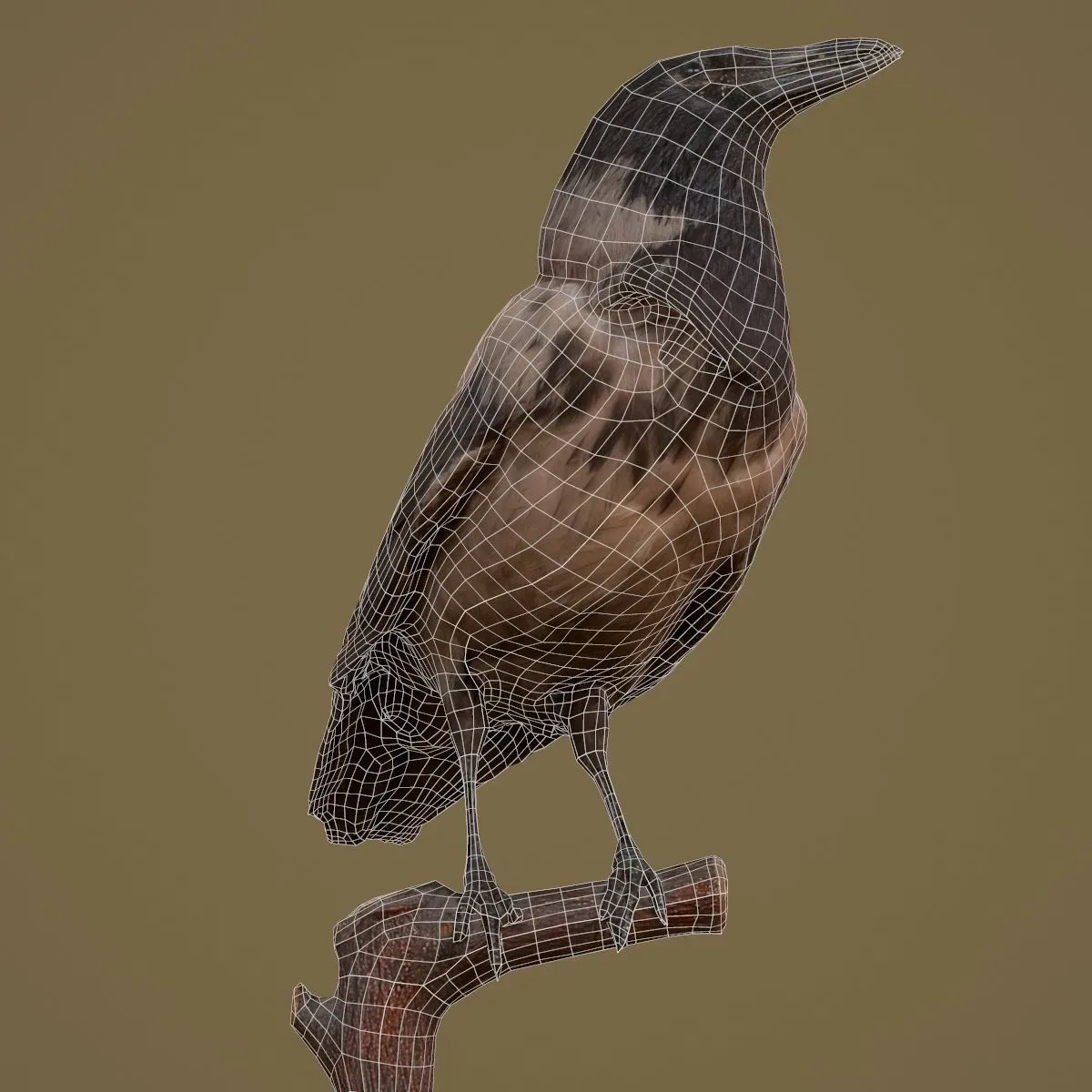 9 Realistic 3D Scanned Birds for Virtual Museums, VR, and Art Projects Collection Volume 2