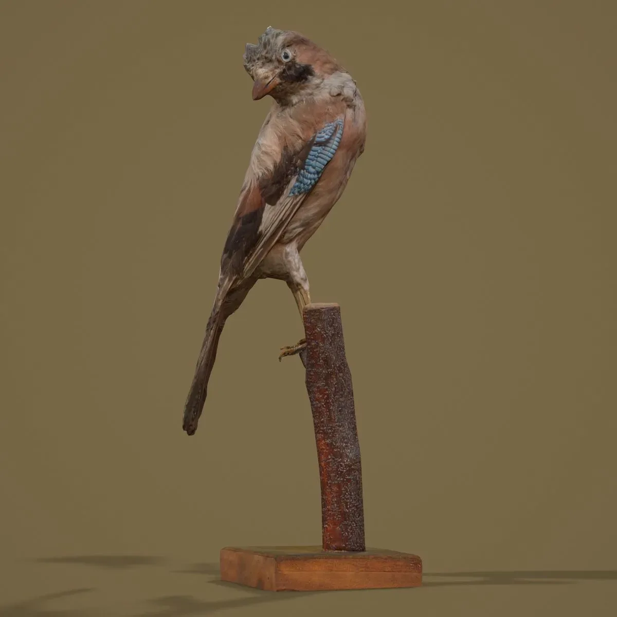 9 Realistic 3D Scanned Birds for Virtual Museums, VR, and Art Projects Collection Volume 2