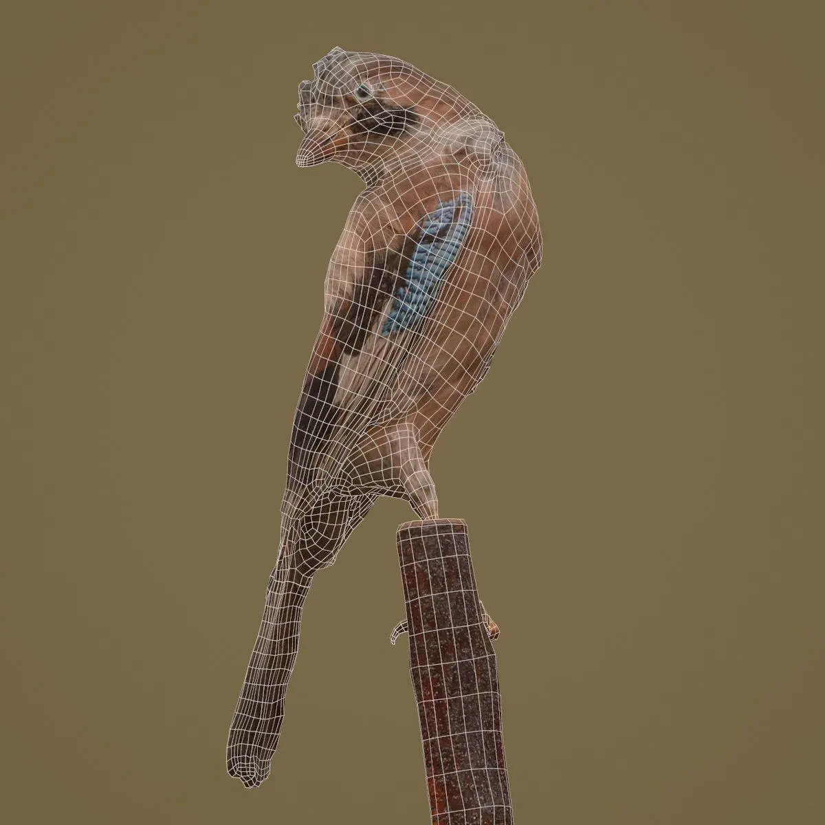 9 Realistic 3D Scanned Birds for Virtual Museums, VR, and Art Projects Collection Volume 2