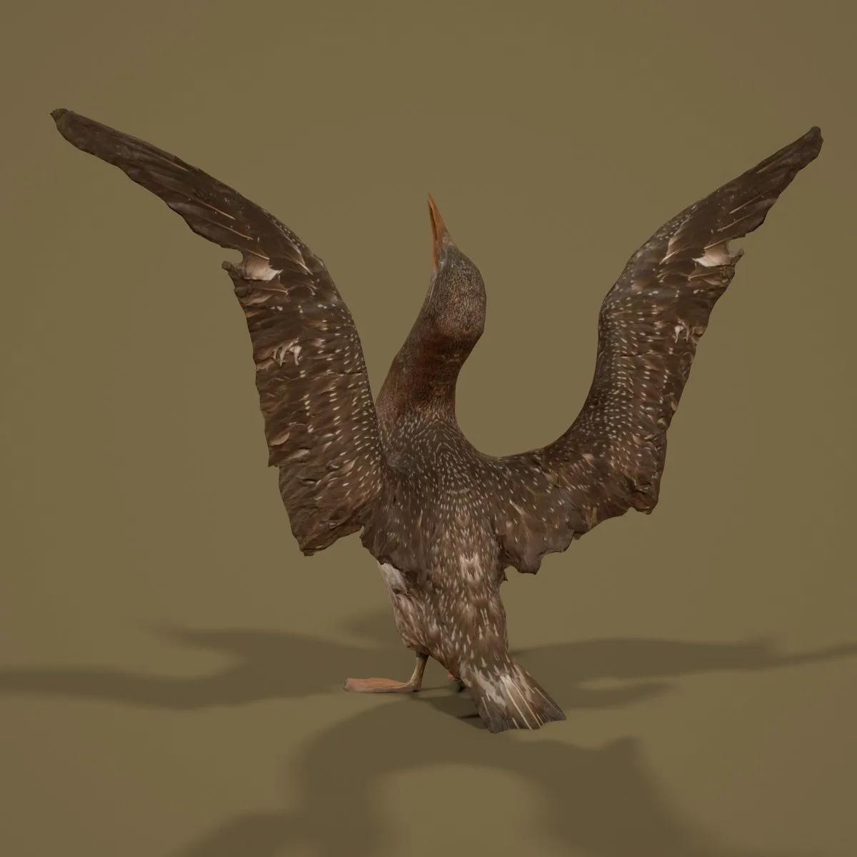 36 Realistic 3D Scanned Animals and Birds for Virtual Museums, VR, and Art Projects Master Collection