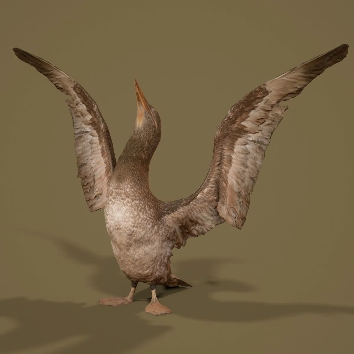 36 Realistic 3D Scanned Animals and Birds for Virtual Museums, VR, and Art Projects Master Collection