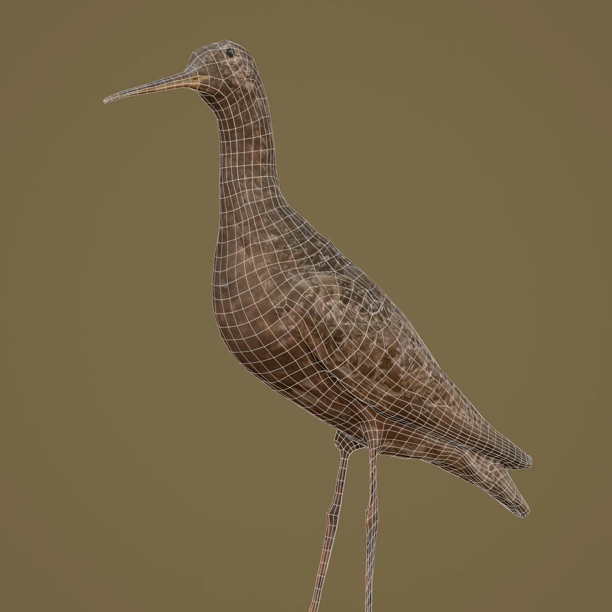 36 Realistic 3D Scanned Animals and Birds for Virtual Museums, VR, and Art Projects Master Collection