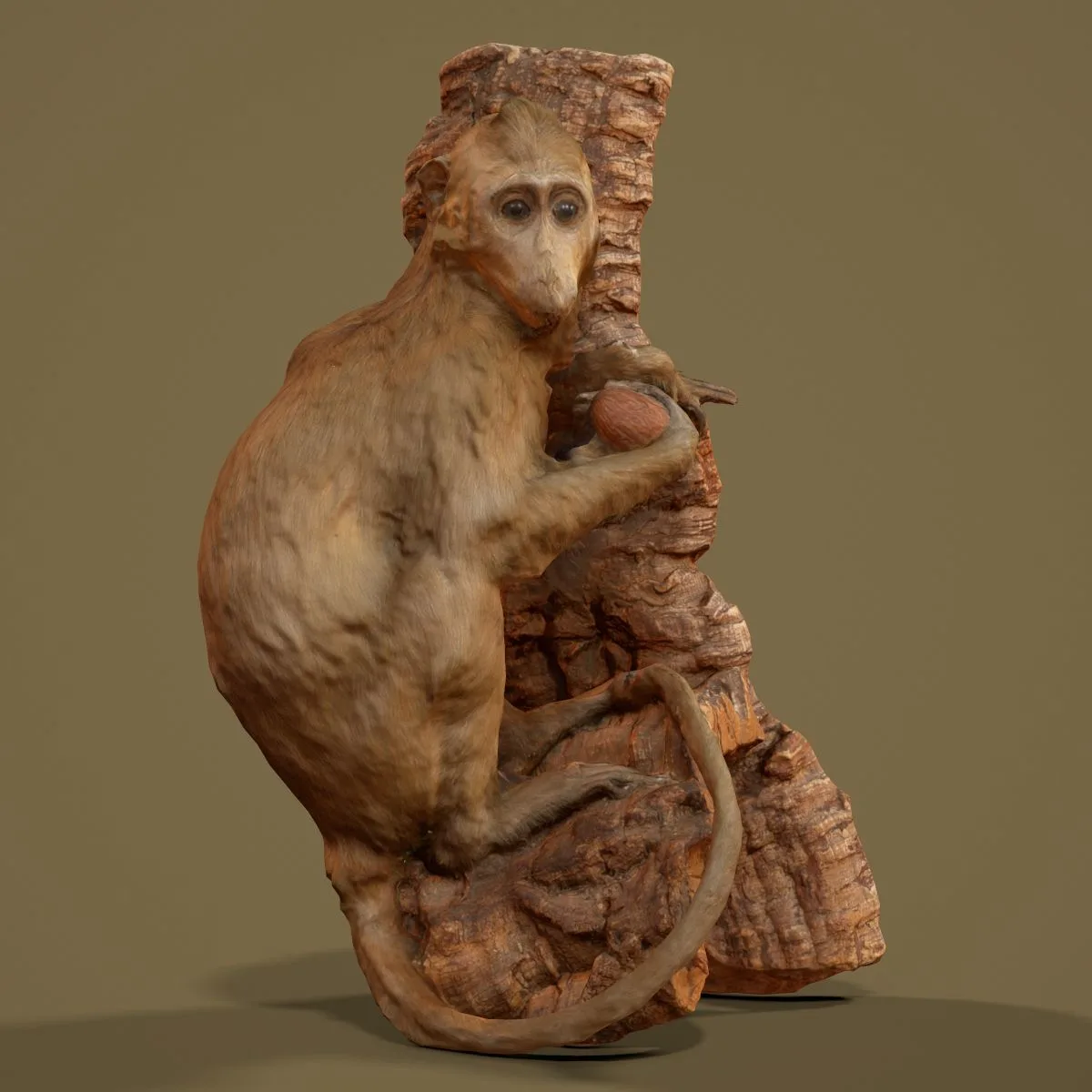 36 Realistic 3D Scanned Animals and Birds for Virtual Museums, VR, and Art Projects Master Collection