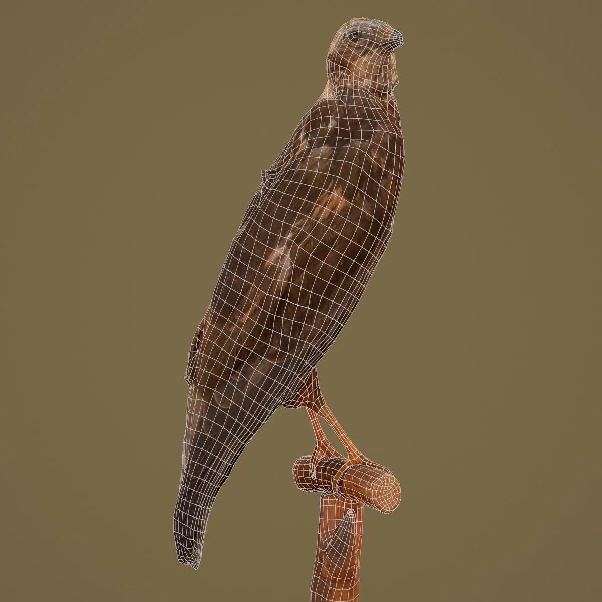 36 Realistic 3D Scanned Animals and Birds for Virtual Museums, VR, and Art Projects Master Collection