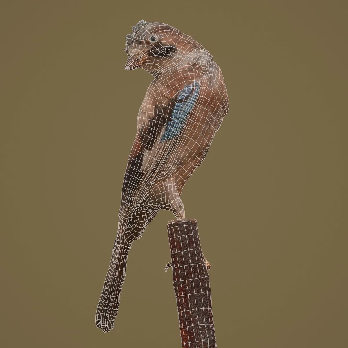 36 Realistic 3D Scanned Animals and Birds for Virtual Museums, VR, and Art Projects Master Collection