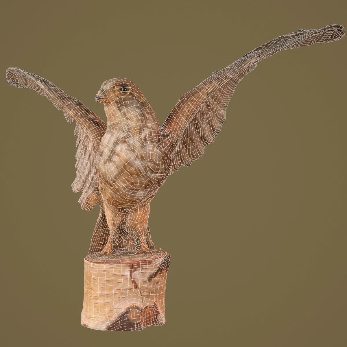 36 Realistic 3D Scanned Animals and Birds for Virtual Museums, VR, and Art Projects Master Collection