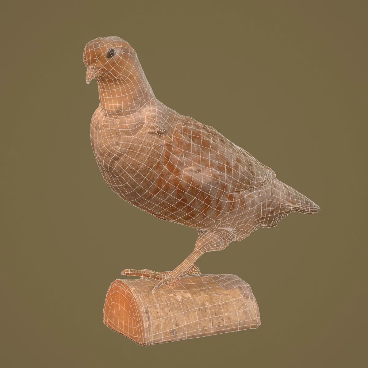 36 Realistic 3D Scanned Animals and Birds for Virtual Museums, VR, and Art Projects Master Collection