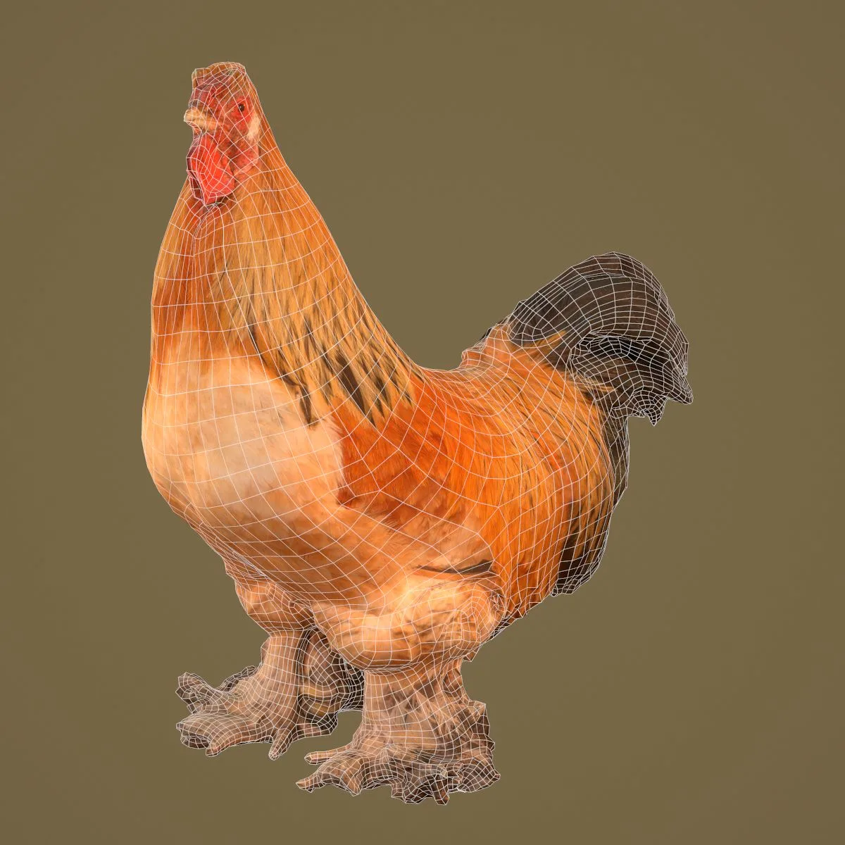 36 Realistic 3D Scanned Animals and Birds for Virtual Museums, VR, and Art Projects Master Collection