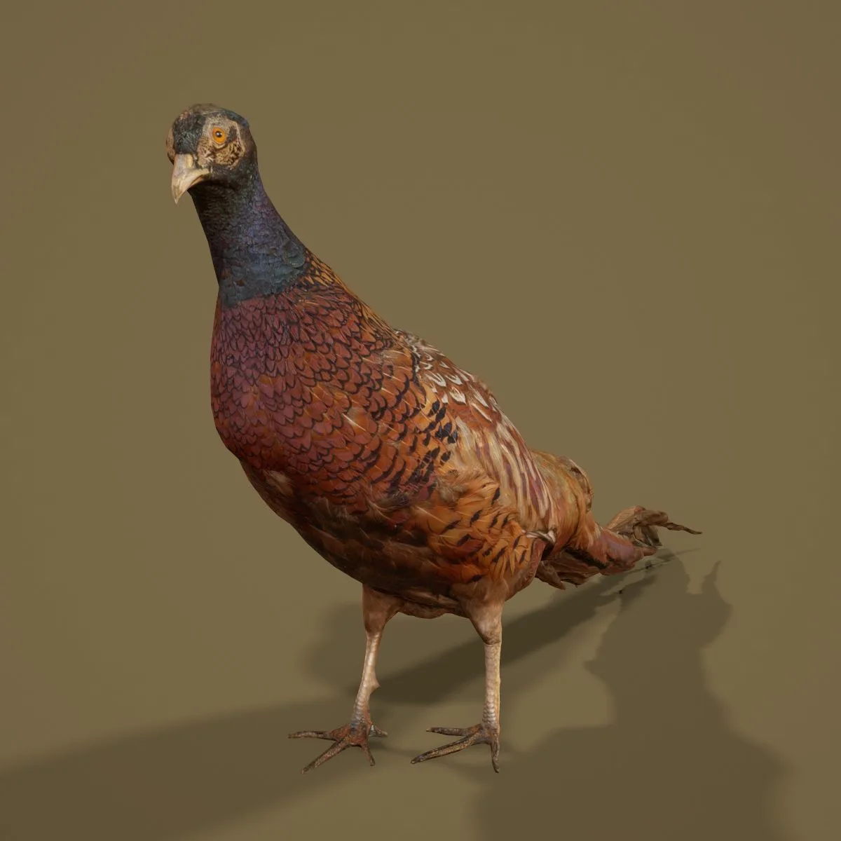 36 Realistic 3D Scanned Animals and Birds for Virtual Museums, VR, and Art Projects Master Collection