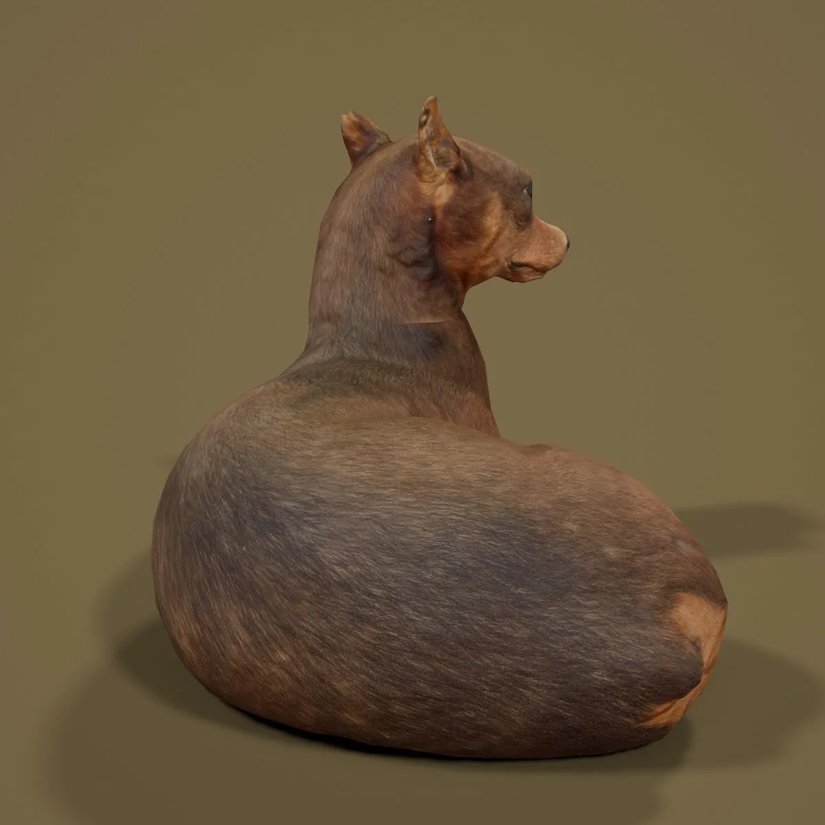 36 Realistic 3D Scanned Animals and Birds for Virtual Museums, VR, and Art Projects Master Collection