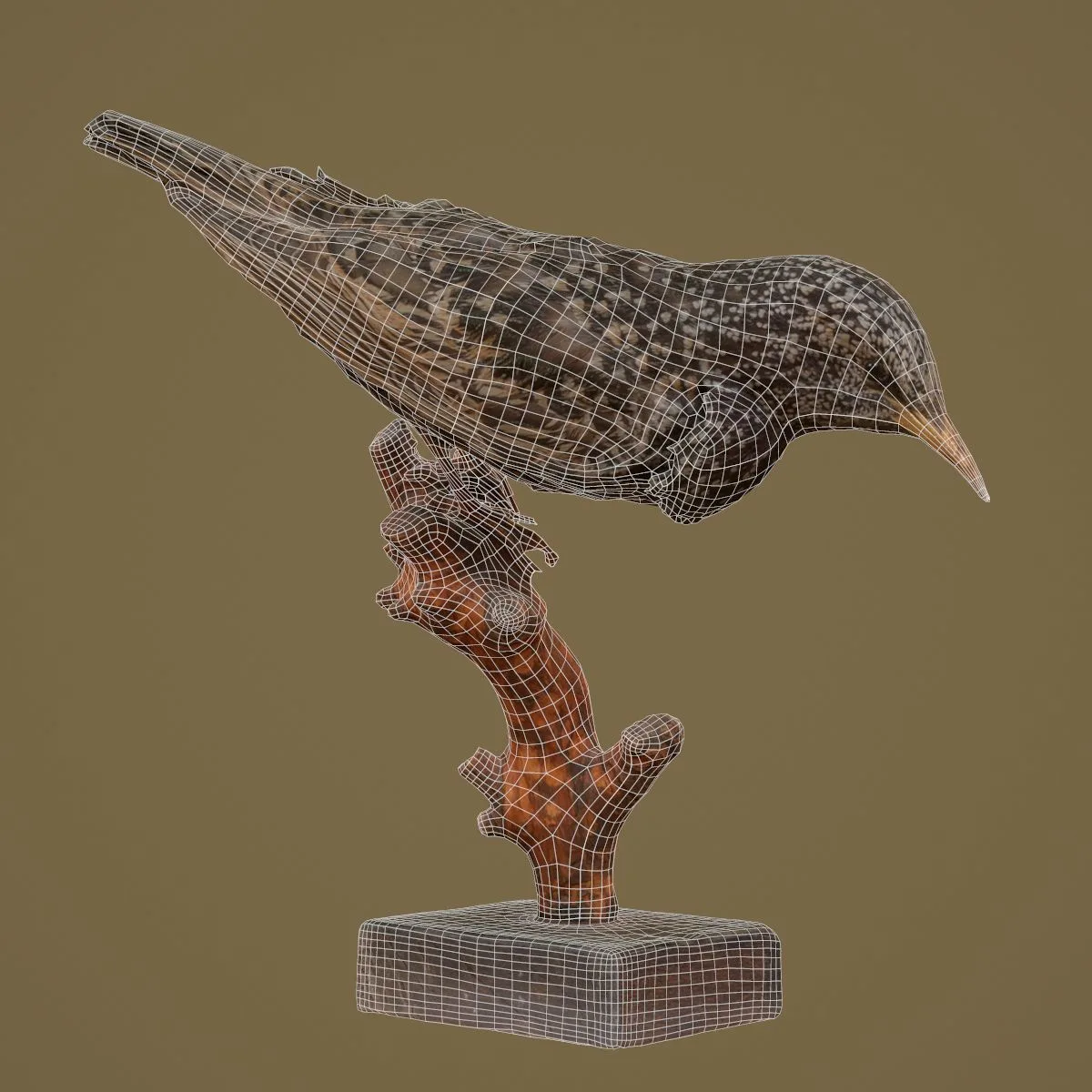 36 Realistic 3D Scanned Animals and Birds for Virtual Museums, VR, and Art Projects Master Collection