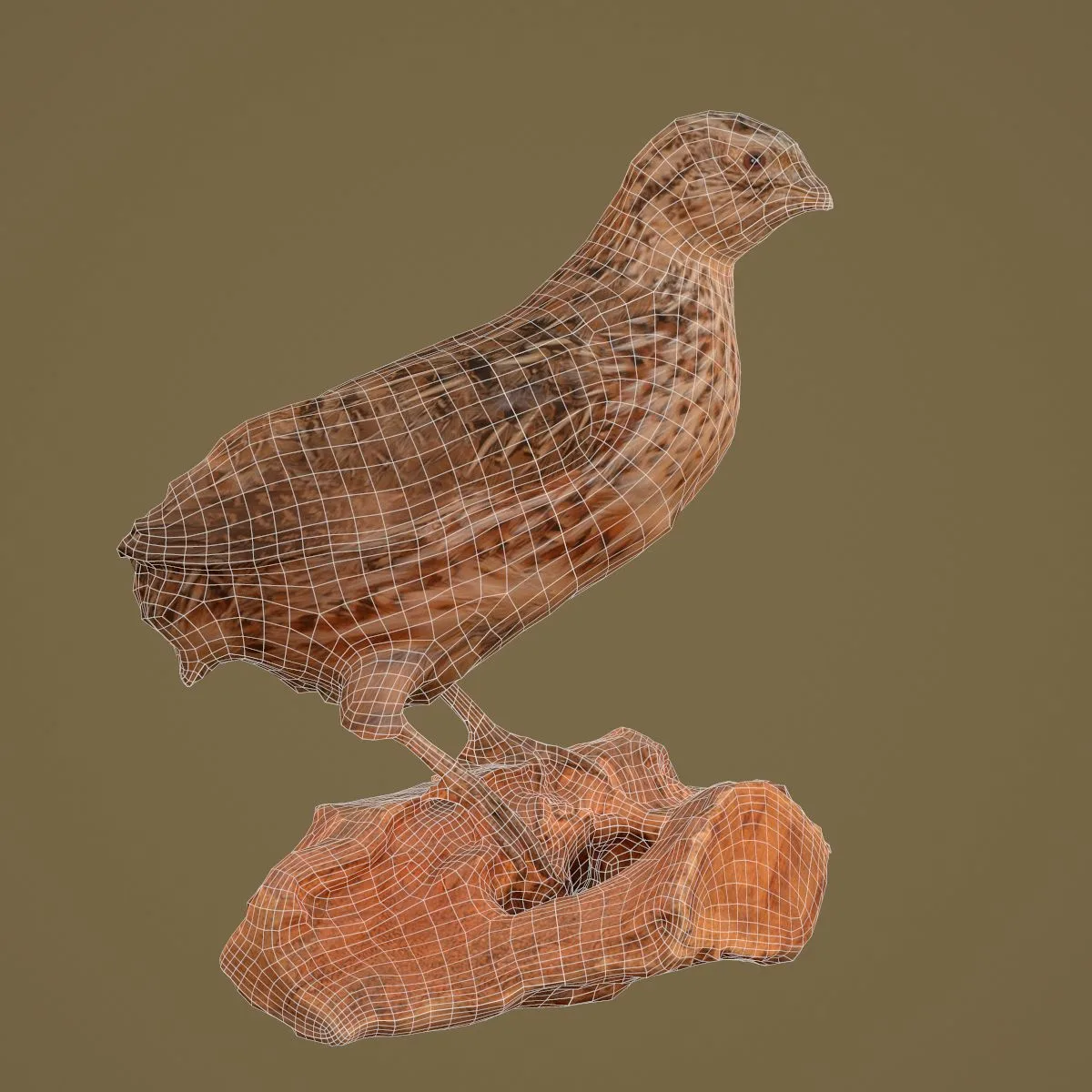 36 Realistic 3D Scanned Animals and Birds for Virtual Museums, VR, and Art Projects Master Collection