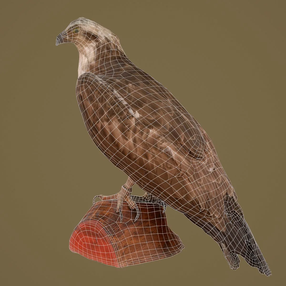 36 Realistic 3D Scanned Animals and Birds for Virtual Museums, VR, and Art Projects Master Collection