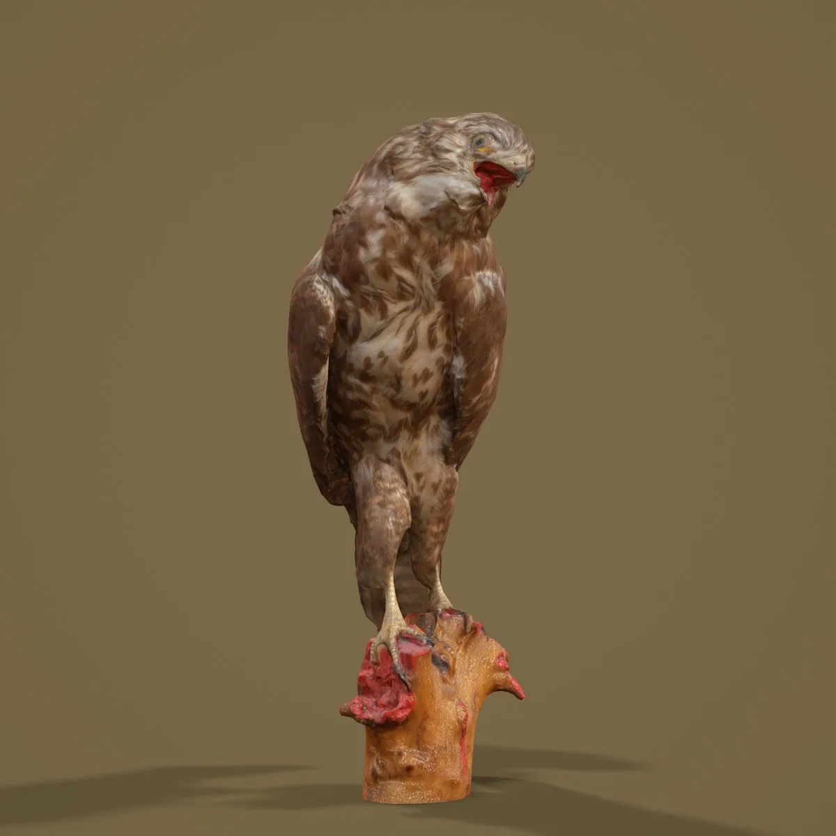 36 Realistic 3D Scanned Animals and Birds for Virtual Museums, VR, and Art Projects Master Collection