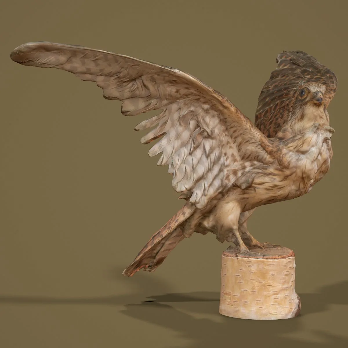 36 Realistic 3D Scanned Animals and Birds for Virtual Museums, VR, and Art Projects Master Collection