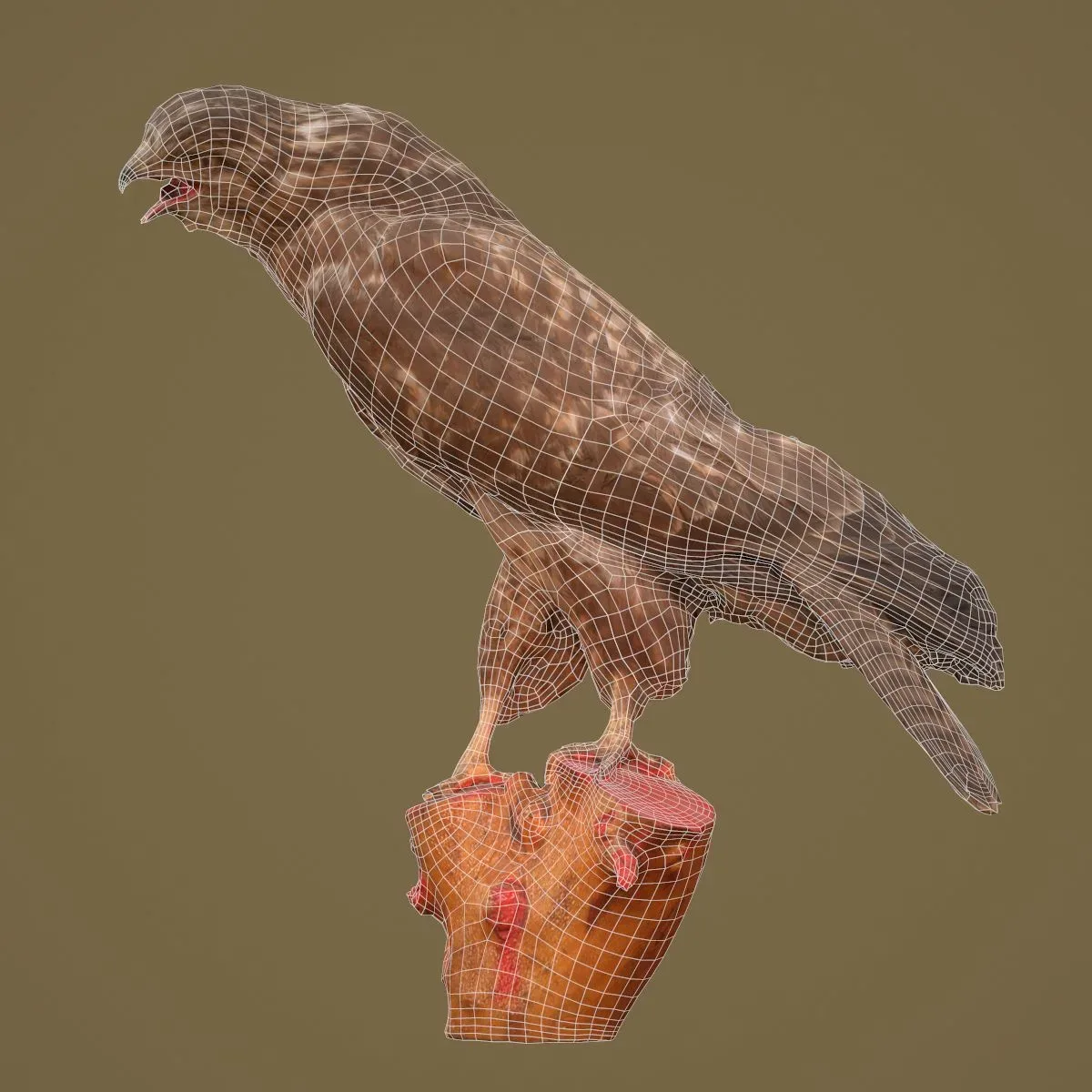 36 Realistic 3D Scanned Animals and Birds for Virtual Museums, VR, and Art Projects Master Collection