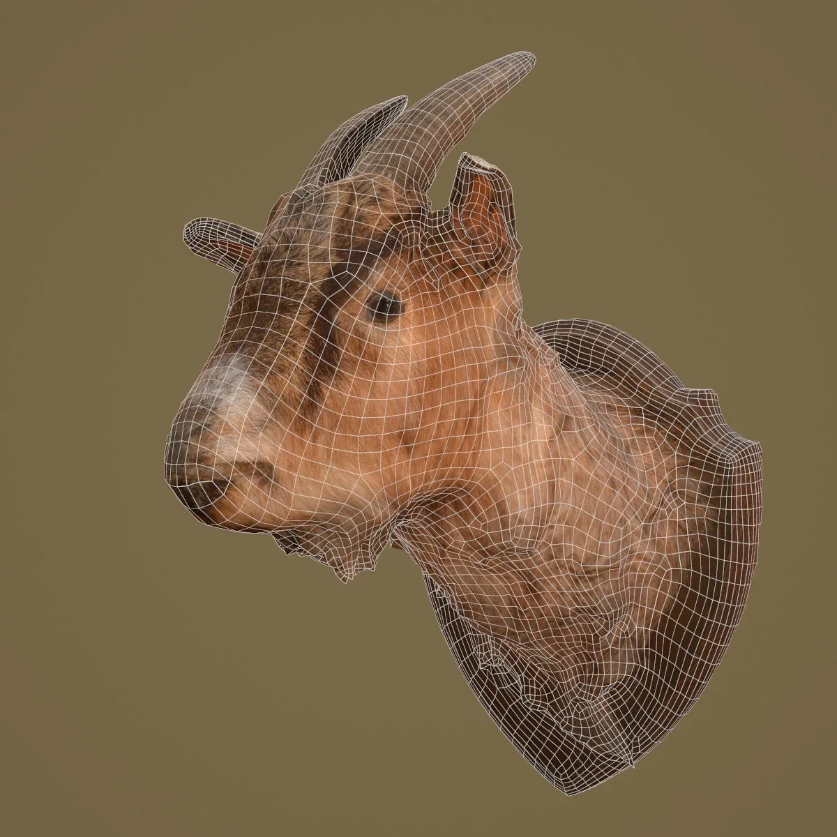 36 Realistic 3D Scanned Animals and Birds for Virtual Museums, VR, and Art Projects Master Collection