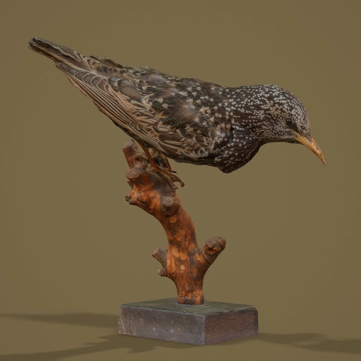 36 Realistic 3D Scanned Animals and Birds for Virtual Museums, VR, and Art Projects Master Collection
