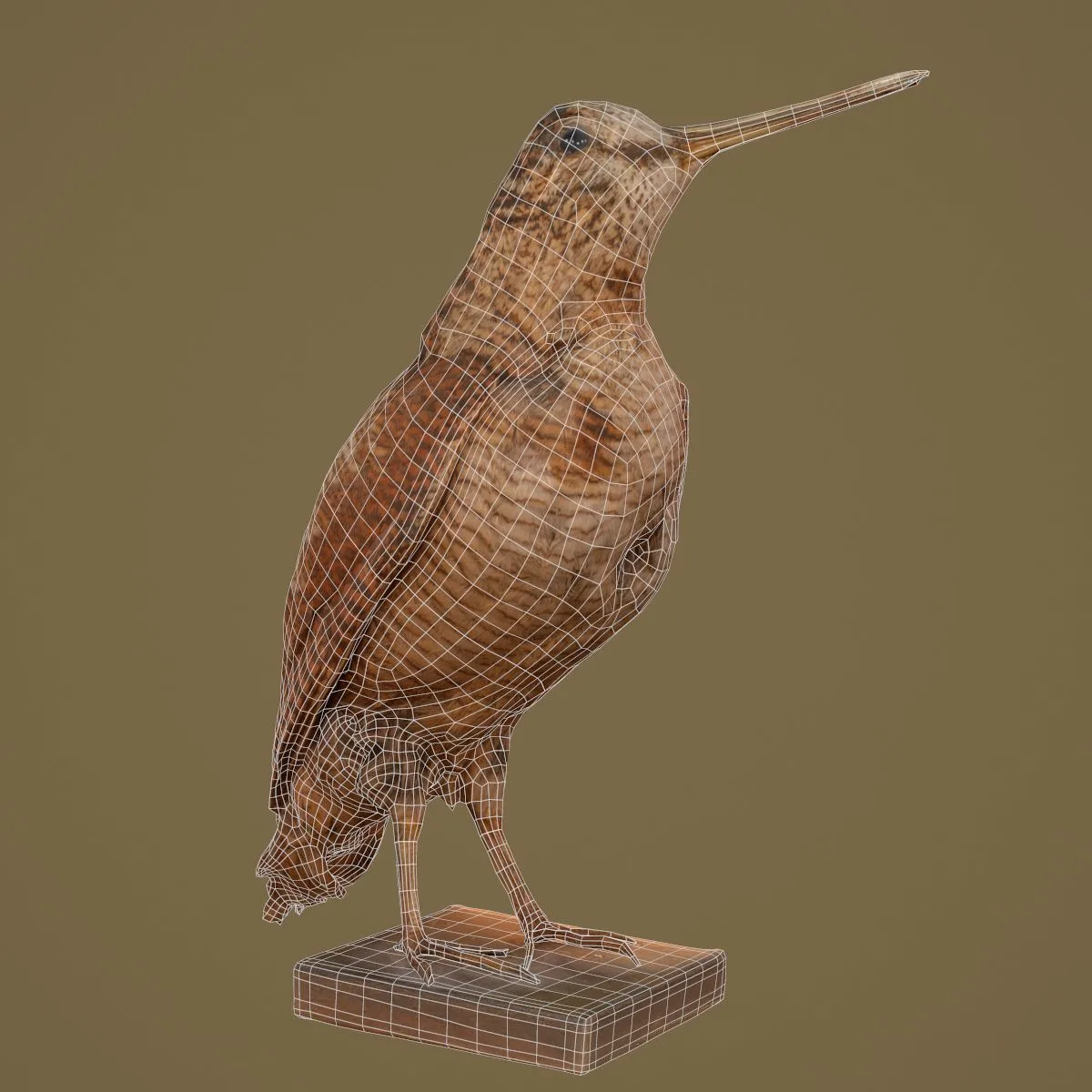 36 Realistic 3D Scanned Animals and Birds for Virtual Museums, VR, and Art Projects Master Collection