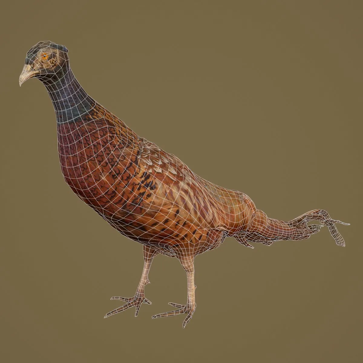 36 Realistic 3D Scanned Animals and Birds for Virtual Museums, VR, and Art Projects Master Collection