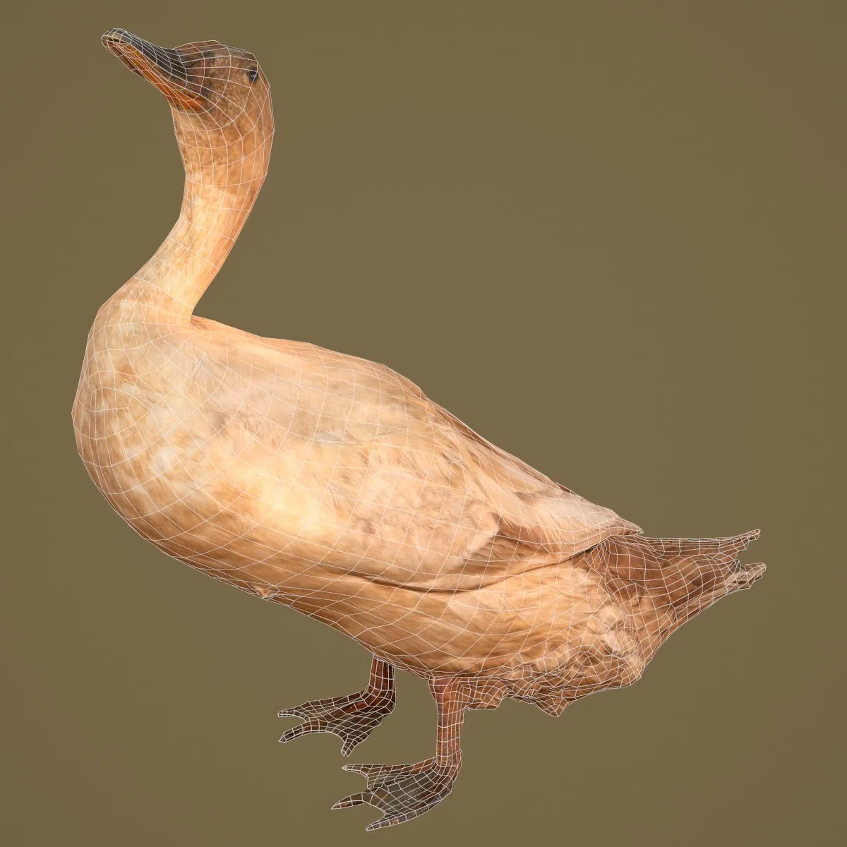 36 Realistic 3D Scanned Animals and Birds for Virtual Museums, VR, and Art Projects Master Collection