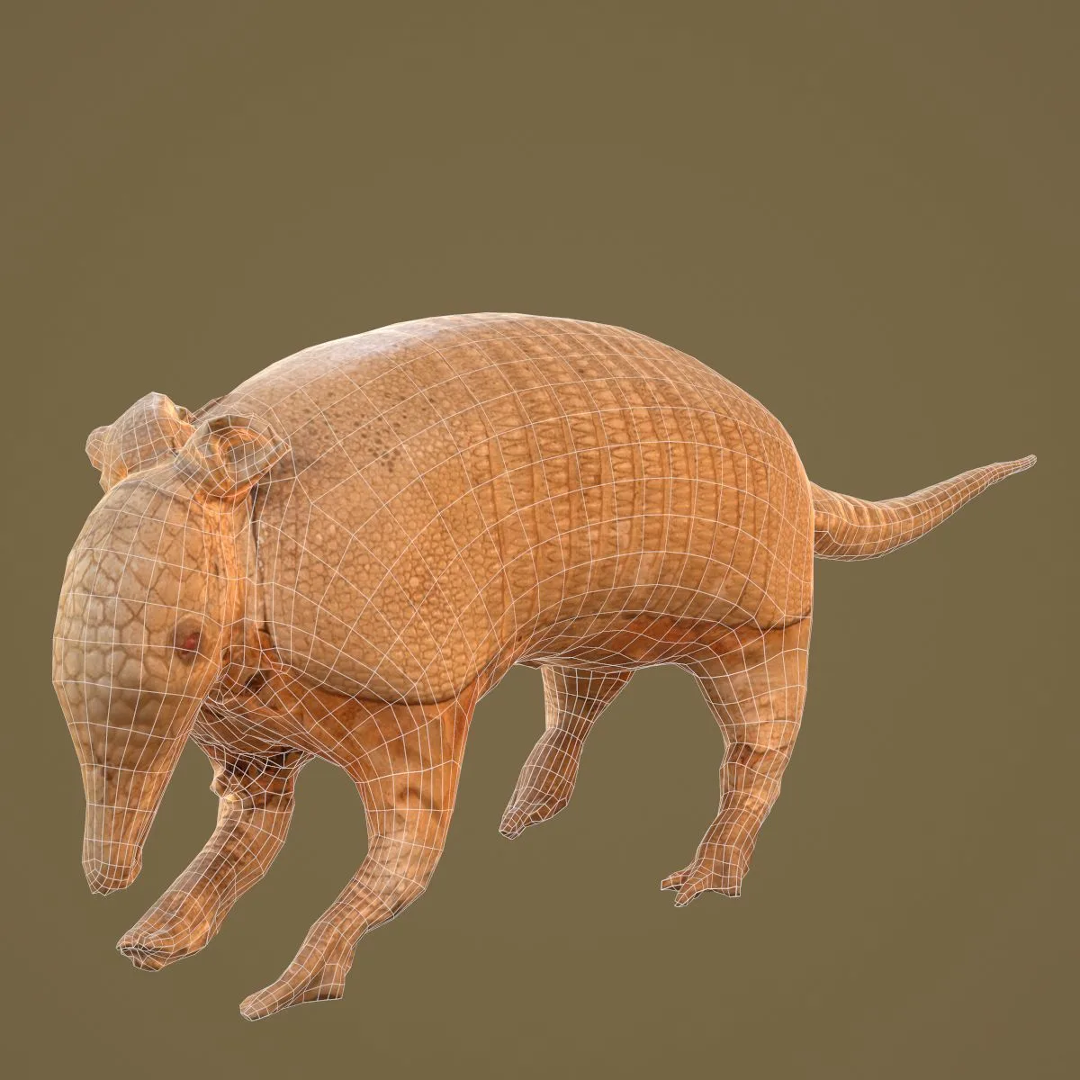 36 Realistic 3D Scanned Animals and Birds for Virtual Museums, VR, and Art Projects Master Collection